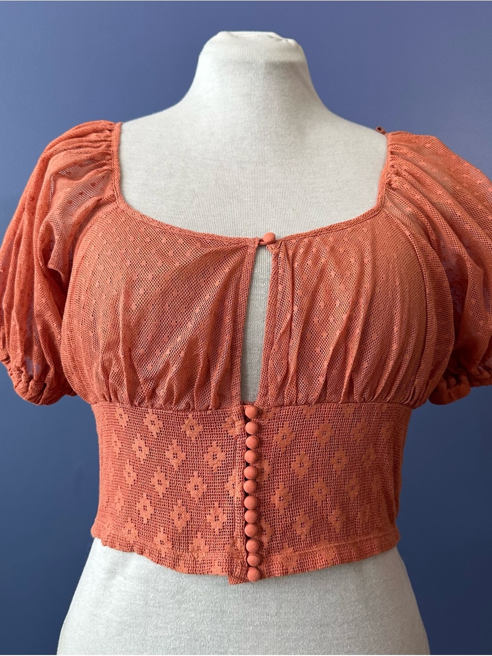 Free People Rust Orange Mesh Puff-Sleeve Crop Top